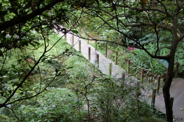 富陽自然生態公園