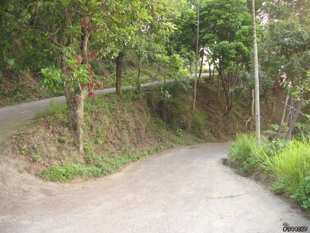 介紹一條很棒的山路台中太平(老鼠琦)