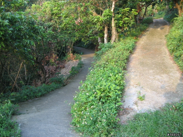 介紹一條很棒的山路台中太平(老鼠琦)