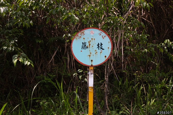 小百岳～東藤枝山