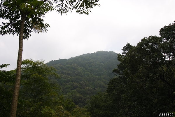 小百岳～東藤枝山