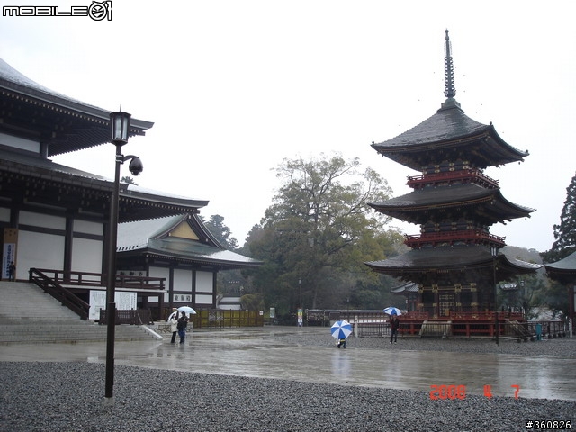 [圖多]狼狽之旅--東京賞櫻5日行