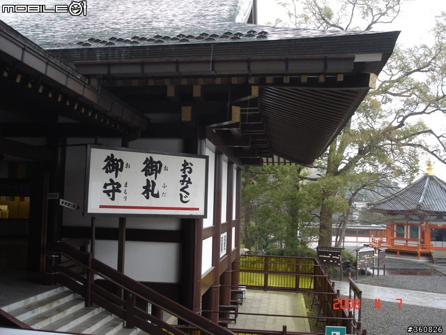 [圖多]狼狽之旅--東京賞櫻5日行