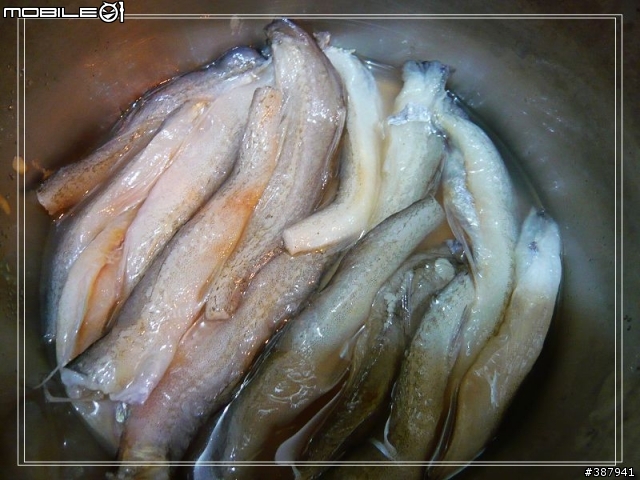 [怪異美食分享]分享"那個魚"的烹調方法(畫面稍微血腥.但值得一看！)
