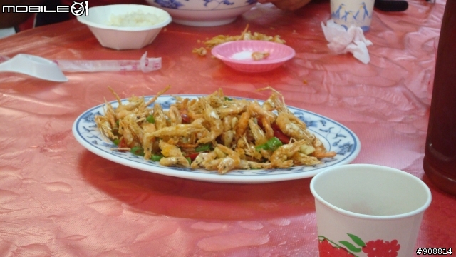 【南橫南迴遊記】期盼是四天逍遙遊, 結果變成三天衝刺賽之結伴不同行之真硬斗南橫南迴單車行