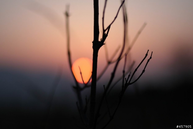 Canon 35mm F2 開箱試用報告