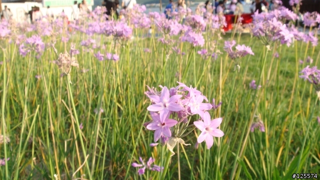 [分享]菜鳥與小K(CarryMe)淡水半日遊