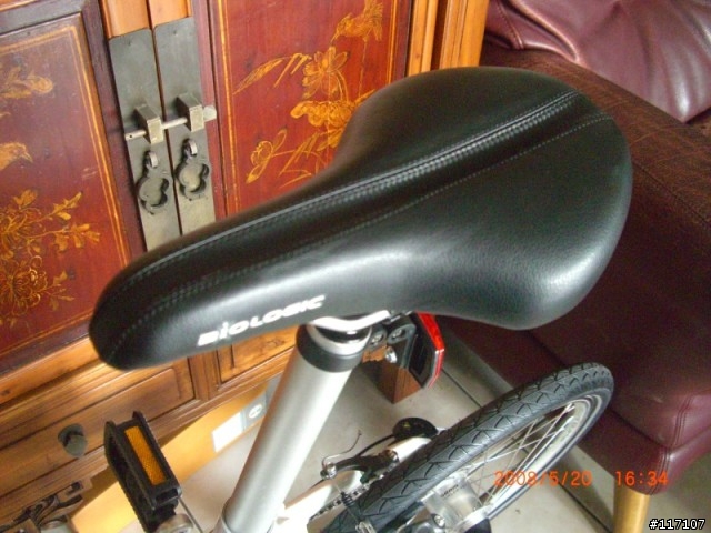 Dahon Mu P24 - 520國宴熱騰騰上菜囉！