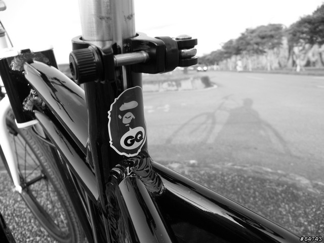 [開箱嘍]時尚黑白低調 Doppelganger 202 小折車(新增握把,碼表,檔泥板)