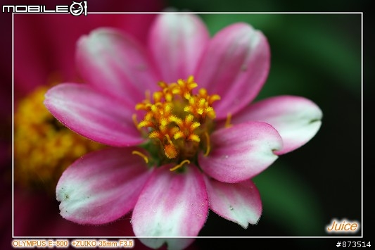 ZUIKO 35mm F3.5