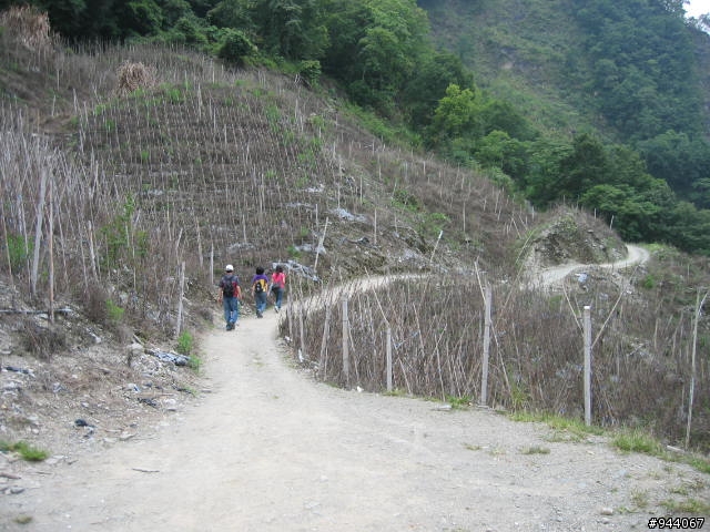超重口味登山林道(請問有人真的騎過這裡嗎)東浦 八通關