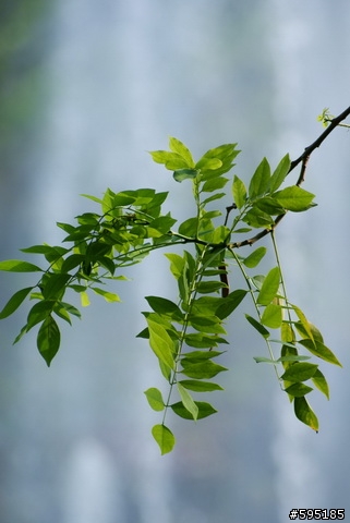 我與a200的對話