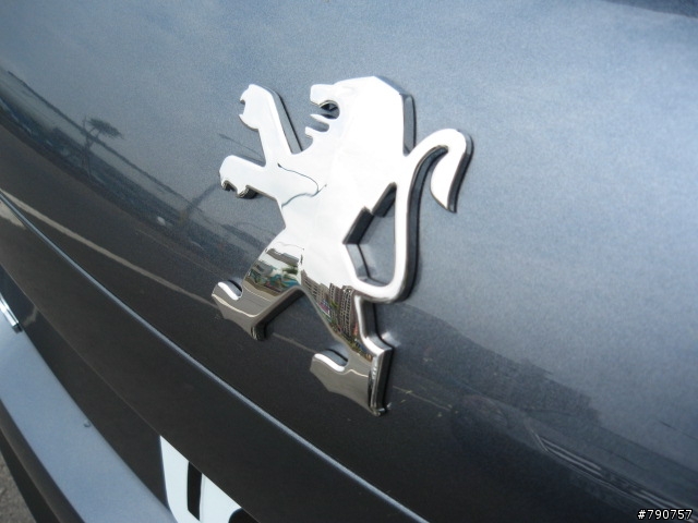 [分享] "柴七" 縱橫 - Peugeot 207 HDi