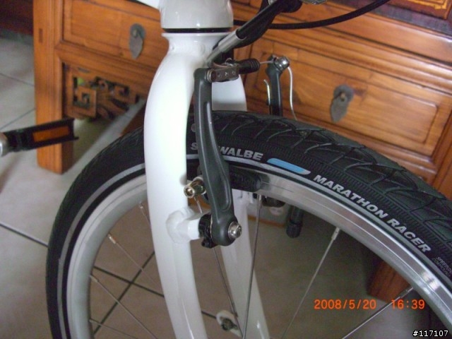 Dahon Mu P24 - 520國宴熱騰騰上菜囉！