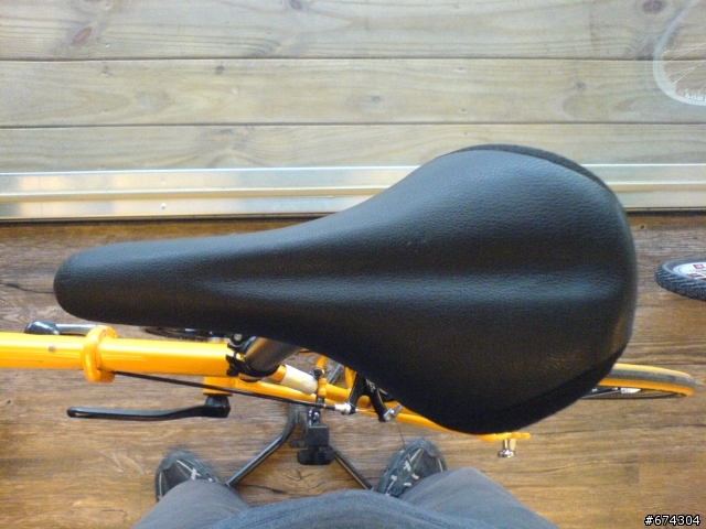 DAHON speed pro TT 開箱文