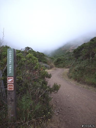 [遊記] 舊金山金門大橋 & Marin Headlands Loop