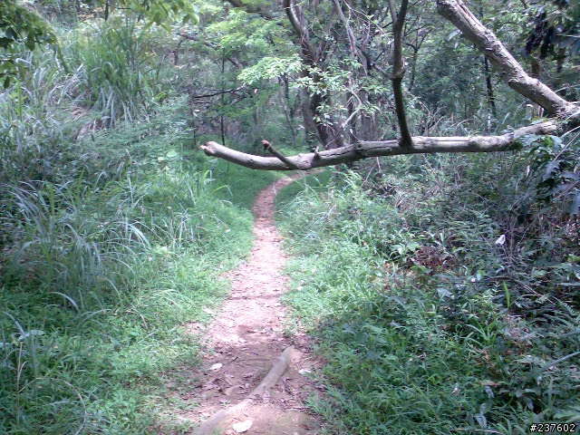 【路線】三段崎 2 + 2 兩小時遊