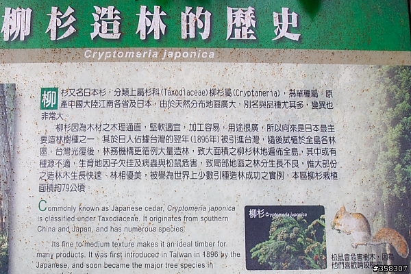 小百岳～東藤枝山