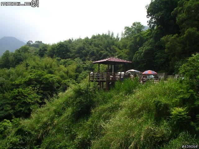 [DAHON同學會 遠征山道班] 0504北橫羅浮橋半日遊 - by Johnson
