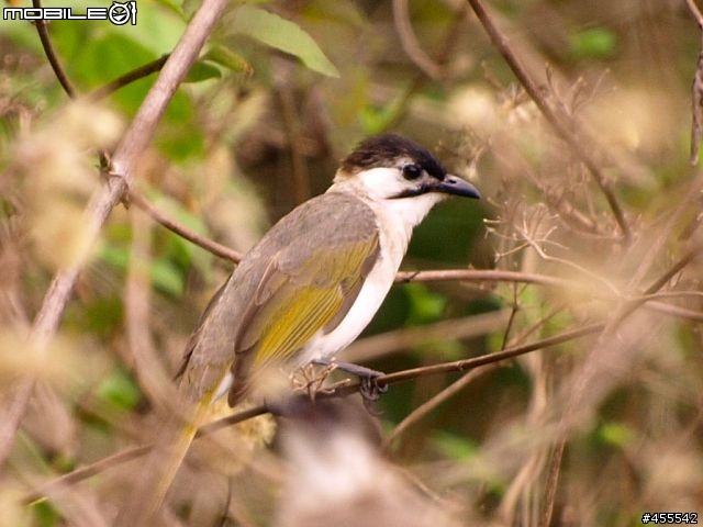 旅行良伴－E-510with12-60、70-300雙鏡【花東墾丁單身旅記】圖多