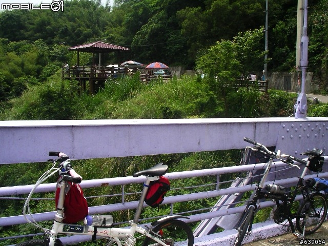 [DAHON同學會 遠征山道班] 0504北橫羅浮橋半日遊 - by Johnson