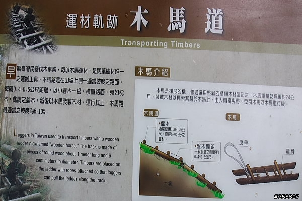 小百岳～東藤枝山