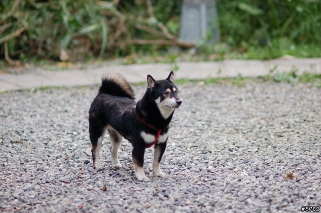 富陽自然生態公園