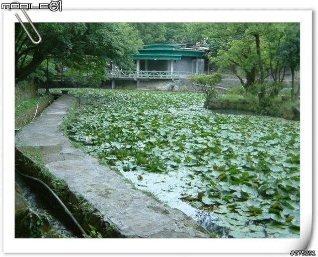 [遊記]走～騎單車衝上文化大學看夜景去～（圖多）