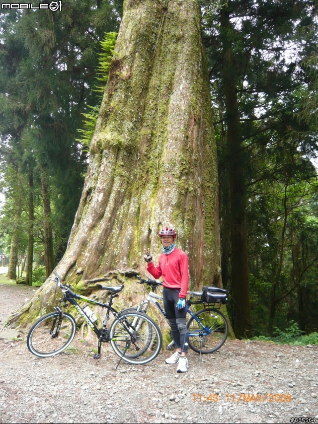 「約騎」 5/11日 阿里山  挑戰回來了加碼塔塔加