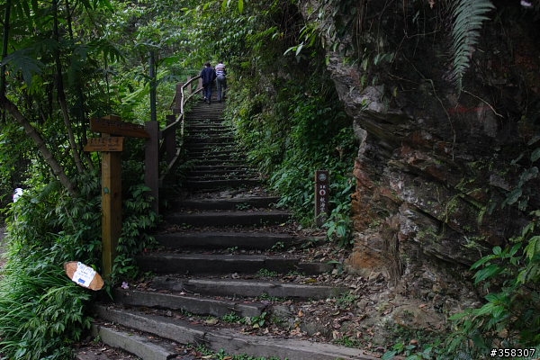小百岳～東藤枝山