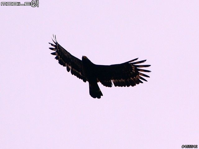 旅行良伴－E-510with12-60、70-300雙鏡【花東墾丁單身旅記】圖多