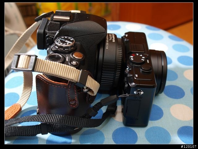 最大的DC & 最小的DSLR