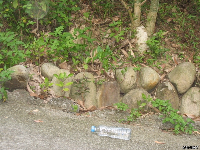 介紹一條很棒的山路台中太平(老鼠琦)