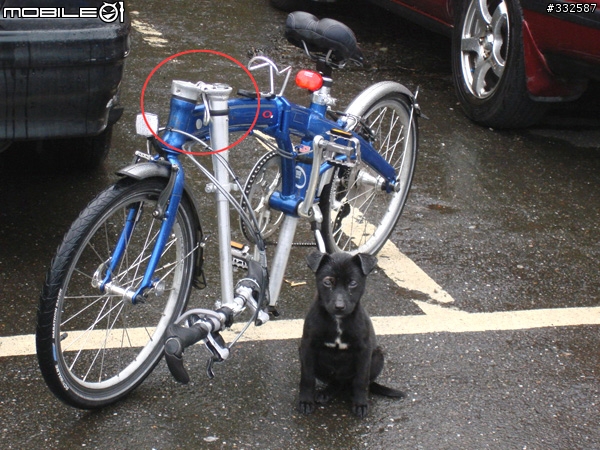 [發問]DAHON 小折手把立桿搖晃