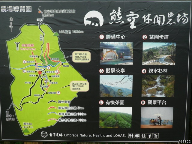 親近山林＆呼吸芬多精：熊空喝茶趣
