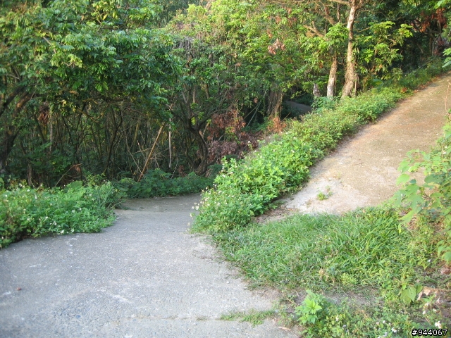 介紹一條很棒的山路台中太平(老鼠琦)