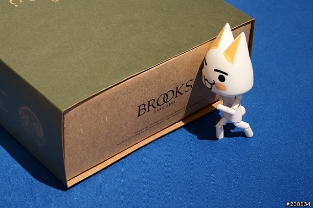 [分享]Brooks坐墊