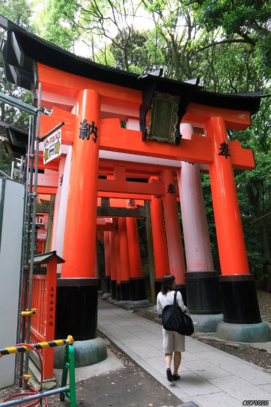 準備上雙機流, 10-22該換17-40嗎?