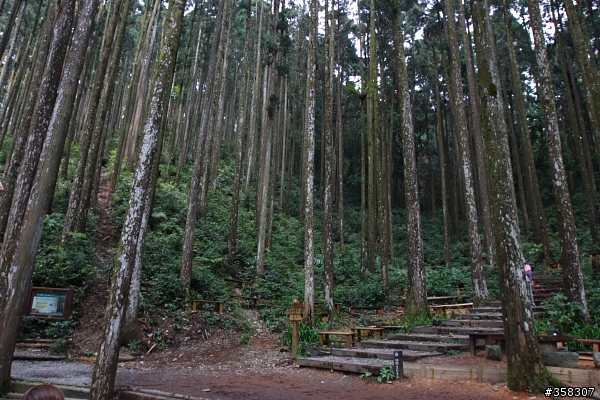 小百岳～東藤枝山