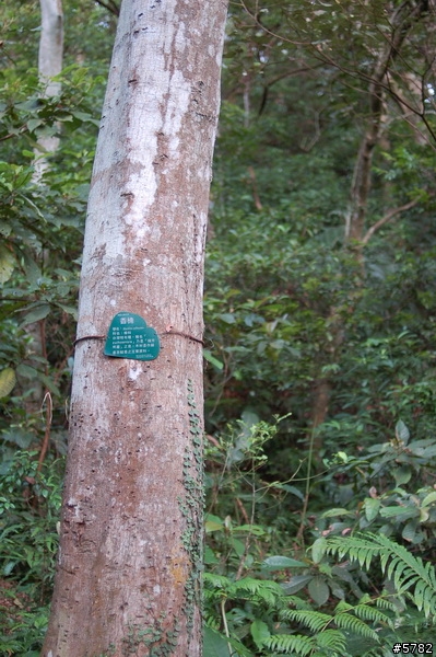 富陽自然生態公園