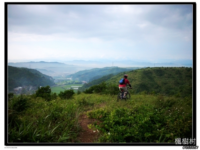 龜山~楓樹村~