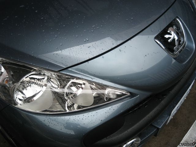 [分享] "柴七" 縱橫 - Peugeot 207 HDi