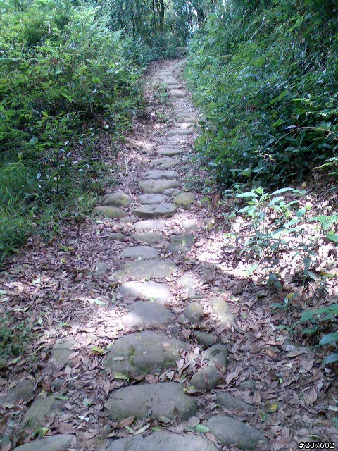 【路線】三段崎 2 + 2 兩小時遊