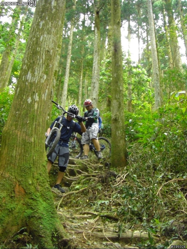 [遊記] 東眼山縱走滿月園(50多張圖)