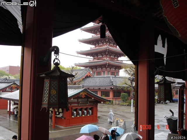 [圖多]狼狽之旅--東京賞櫻5日行