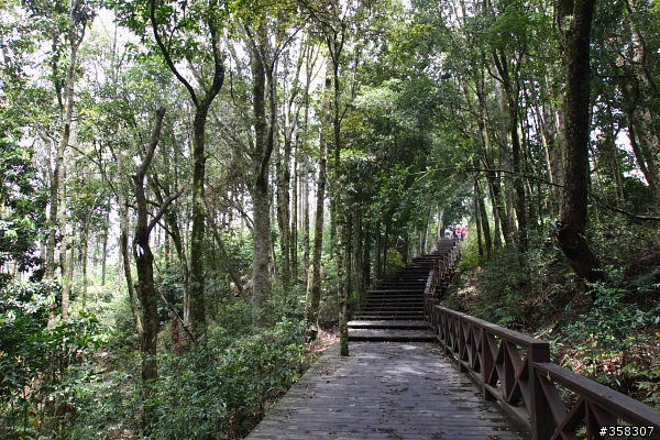 小百岳～東藤枝山