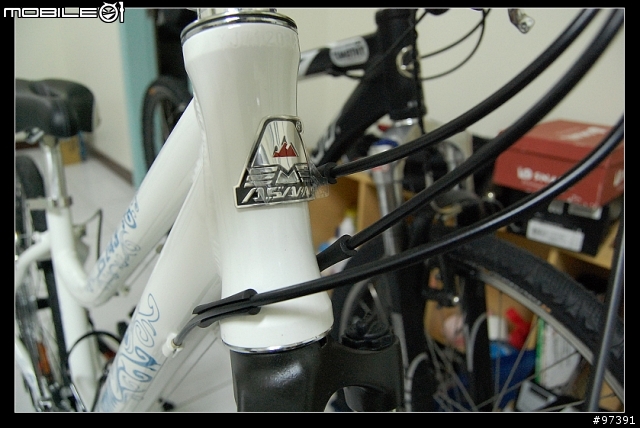 [分享]7k以下女用登山車的新選擇，ASAMA JS243