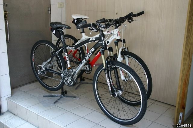 [分享] Dorcus 紅白/黑銀海豚新車入荷