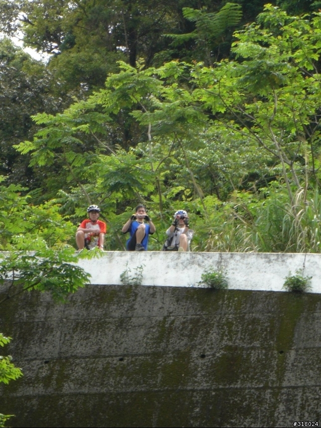 [遊記] 東眼山縱走滿月園(50多張圖)