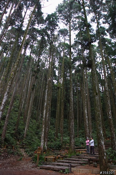小百岳～東藤枝山